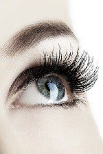 wimpern